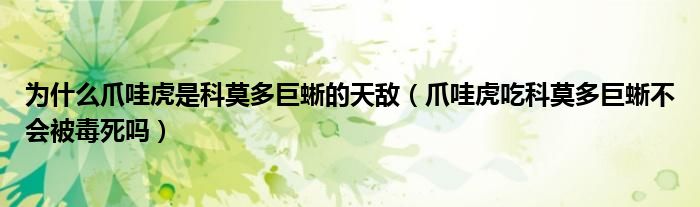 为什么爪哇虎是科莫多巨蜥的天敌（爪哇虎吃科莫多巨蜥不会被毒死吗）