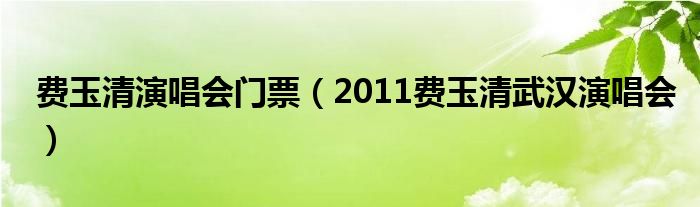 费玉清演唱会门票（2011费玉清武汉演唱会）