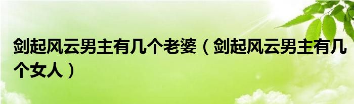 剑起风云男主有几个老婆（剑起风云男主有几个女人）