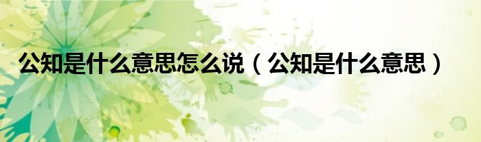 公知是什么意思怎么说（公知是什么意思）