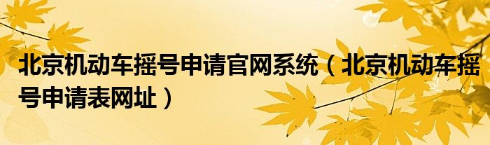 北京机动车摇号申请官网系统（北京机动车摇号申请表网址）