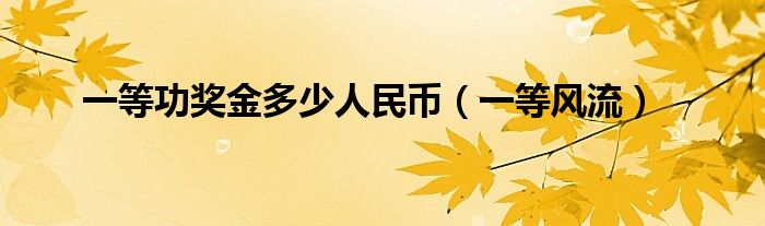 一等功奖金多少人民币（一等风流）
