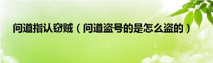 问道指认窃贼（问道盗号的是怎么盗的）