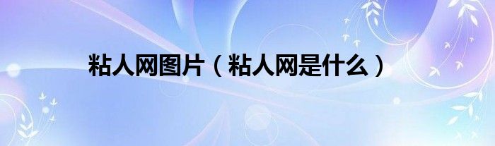 粘人网图片（粘人网是什么）