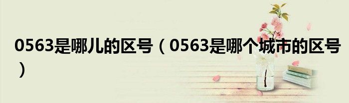 0563是哪儿的区号（0563是哪个城市的区号）