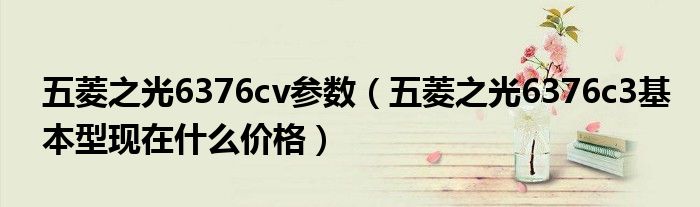五菱之光6376cv参数（五菱之光6376c3基本型现在什么价格）