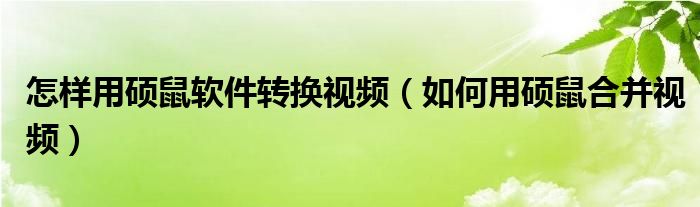 怎样用硕鼠软件转换视频（如何用硕鼠合并视频）