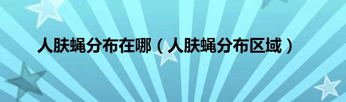人肤蝇分布在哪（人肤蝇分布区域）