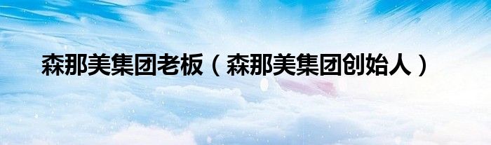 森那美集团老板（森那美集团创始人）