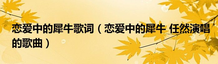 恋爱中的犀牛歌词（恋爱中的犀牛 任然演唱的歌曲）