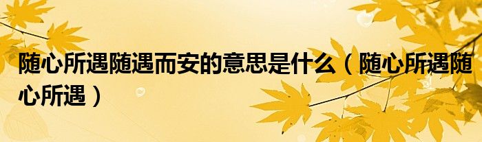 随心所遇随遇而安的意思是什么（随心所遇随心所遇）