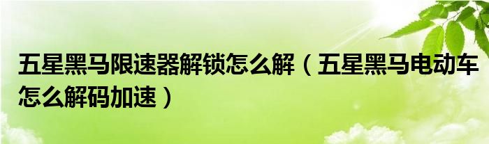 五星黑马限速器解锁怎么解（五星黑马电动车怎么解码加速）