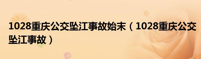 1028重庆公交坠江事故始末（1028重庆公交坠江事故）