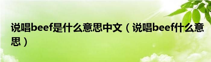 说唱beef是什么意思中文（说唱beef什么意思）