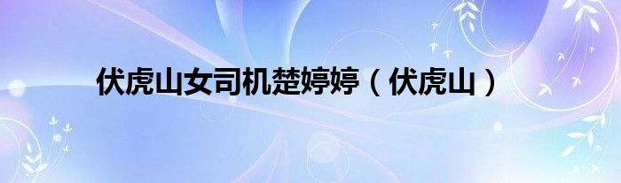 伏虎山女司机楚婷婷（伏虎山）