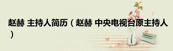赵赫 主持人简历（赵赫 中央电视台原主持人）