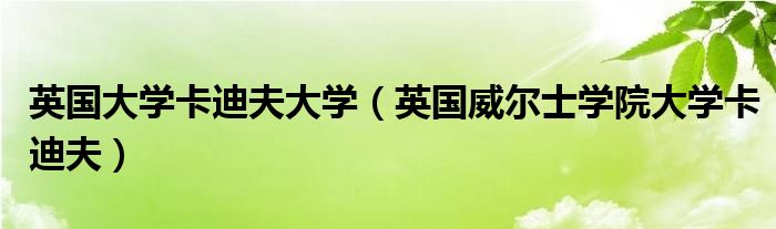 英国大学卡迪夫大学（英国威尔士学院大学卡迪夫）