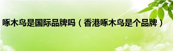 啄木鸟是国际品牌吗（香港啄木鸟是个品牌）