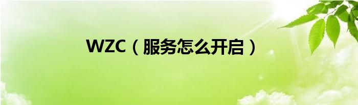 WZC（服务怎么开启）