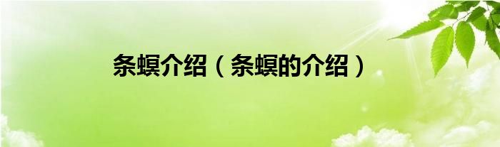 条螟介绍（条螟的介绍）