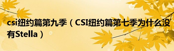 csi纽约篇第九季（CSI纽约篇第七季为什么没有Stella）