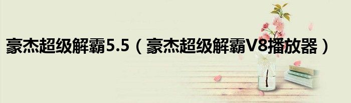 豪杰超级解霸5.5（豪杰超级解霸V8播放器）