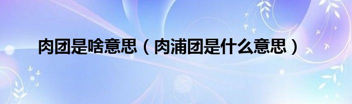肉团是啥意思（肉浦团是什么意思）