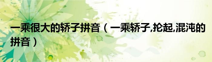 一乘很大的轿子拼音（一乘轿子,抡起,混沌的拼音）
