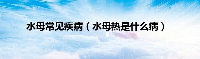 水母常见疾病（水母热是什么病）