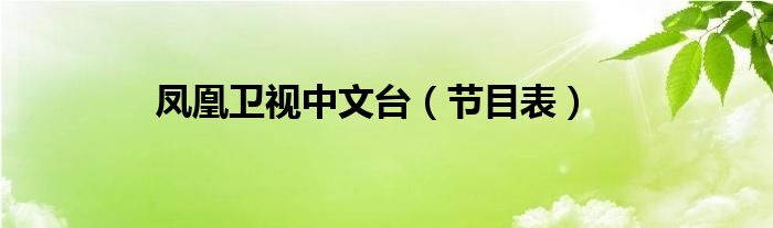 凤凰卫视中文台（节目表）