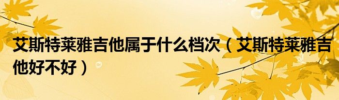 艾斯特莱雅吉他属于什么档次（艾斯特莱雅吉他好不好）