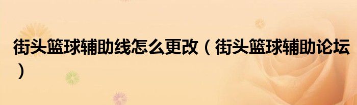 街头篮球辅助线怎么更改（街头篮球辅助论坛）