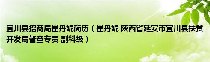 宜川县招商局崔丹妮简历（崔丹妮 陕西省延安市宜川县扶贫开发局督查专员 副科级）