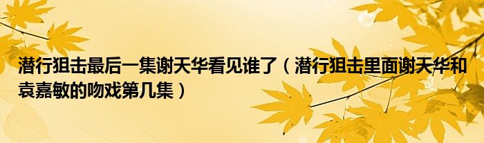 潜行狙击最后一集谢天华看见谁了（潜行狙击里面谢天华和袁嘉敏的吻戏第几集）