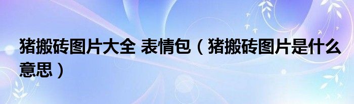 猪搬砖图片大全 表情包（猪搬砖图片是什么意思）