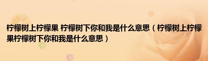 柠檬树上柠檬果 柠檬树下你和我是什么意思（柠檬树上柠檬果柠檬树下你和我是什么意思）