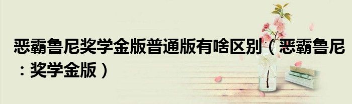 恶霸鲁尼奖学金版普通版有啥区别（恶霸鲁尼：奖学金版）