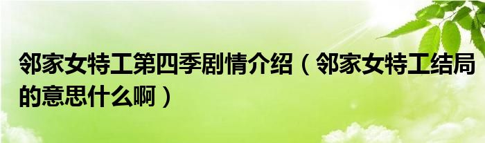 邻家女特工第四季剧情介绍（邻家女特工结局的意思什么啊）