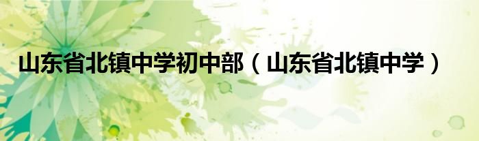 山东省北镇中学初中部（山东省北镇中学）