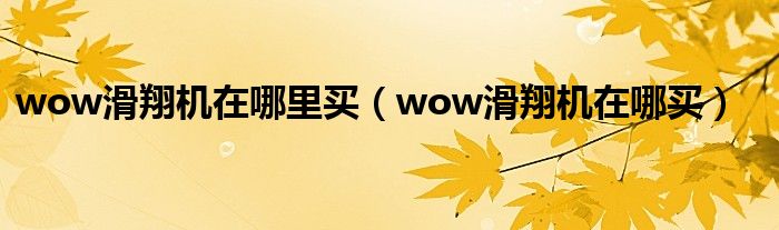 wow滑翔机在哪里买（wow滑翔机在哪买）