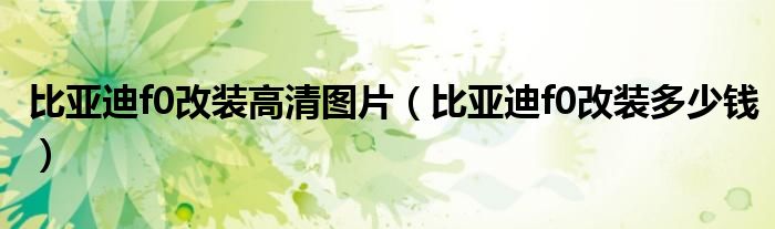 比亚迪f0改装高清图片（比亚迪f0改装多少钱）