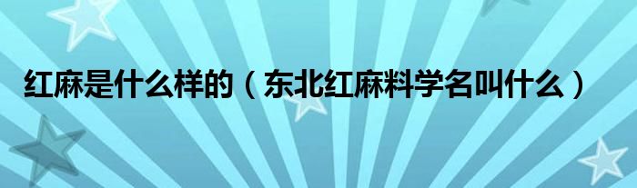 红麻是什么样的（东北红麻料学名叫什么）