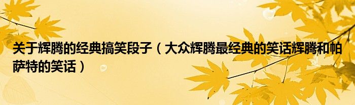 关于辉腾的经典搞笑段子（大众辉腾最经典的笑话辉腾和帕萨特的笑话）