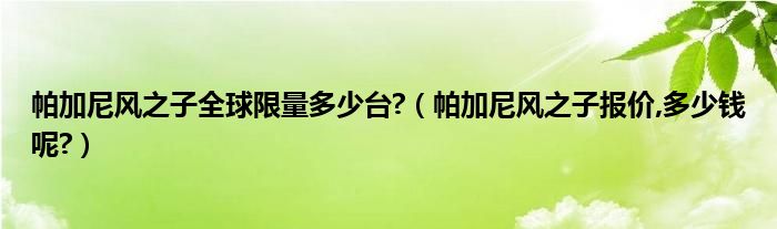 帕加尼风之子全球限量多少台?（帕加尼风之子报价,多少钱呢?）