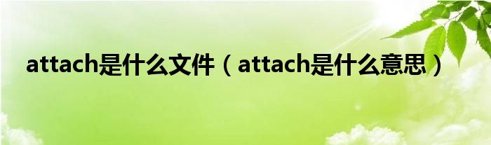 attach是什么文件（attach是什么意思）