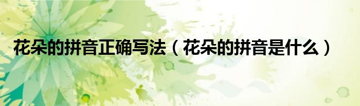 花朵的拼音正确写法（花朵的拼音是什么）
