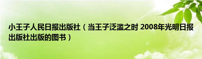 小王子人民日报出版社（当王子泛滥之时 2008年光明日报出版社出版的图书）