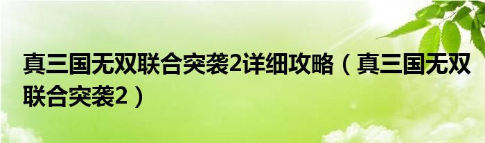 真三国无双联合突袭2详细攻略（真三国无双联合突袭2）