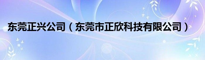 东莞正兴公司（东莞市正欣科技有限公司）