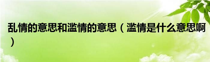 乱情的意思和滥情的意思（滥情是什么意思啊）